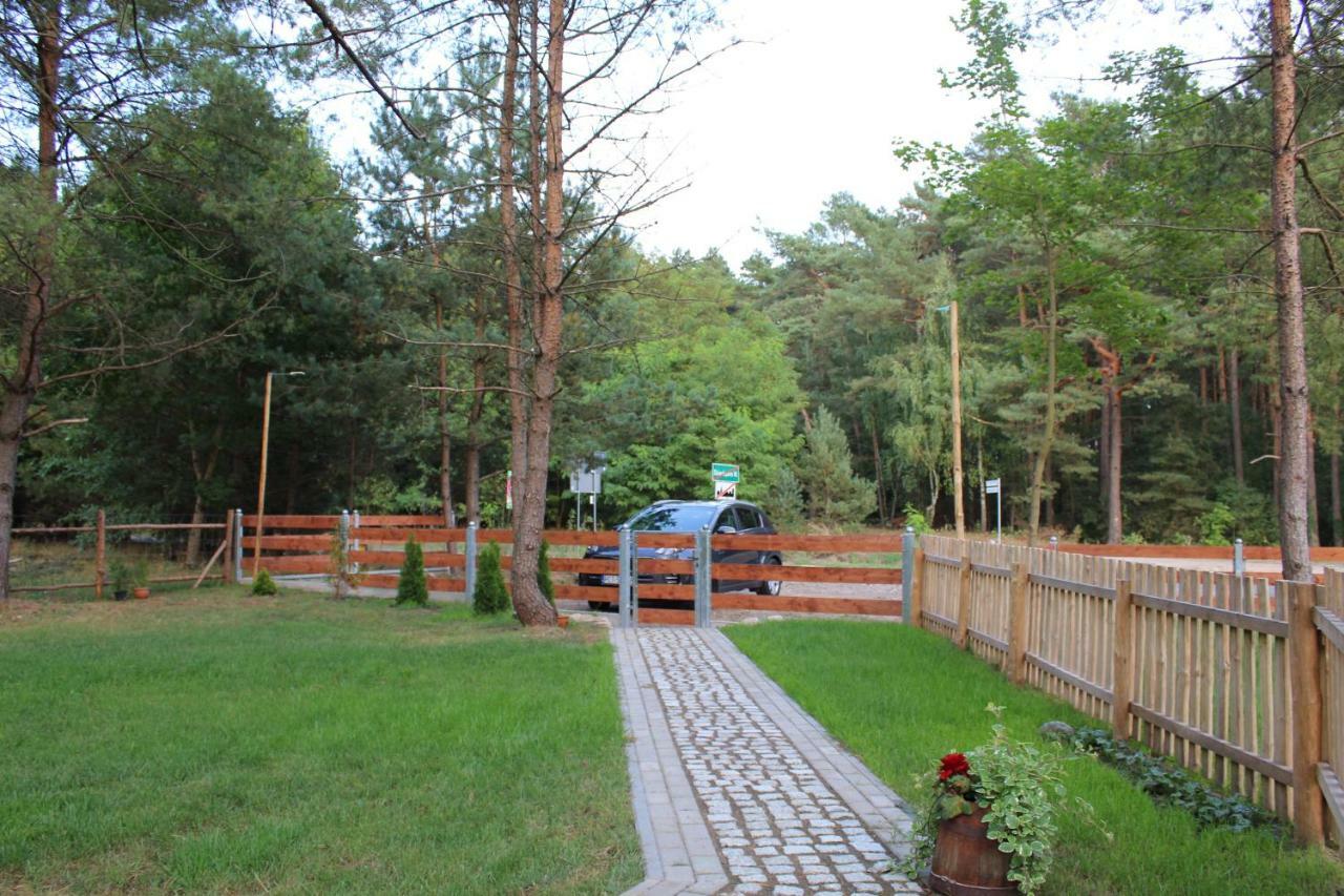 Koci Grzbiet Agroturystyka Dzierzazno Wielkie Exterior photo