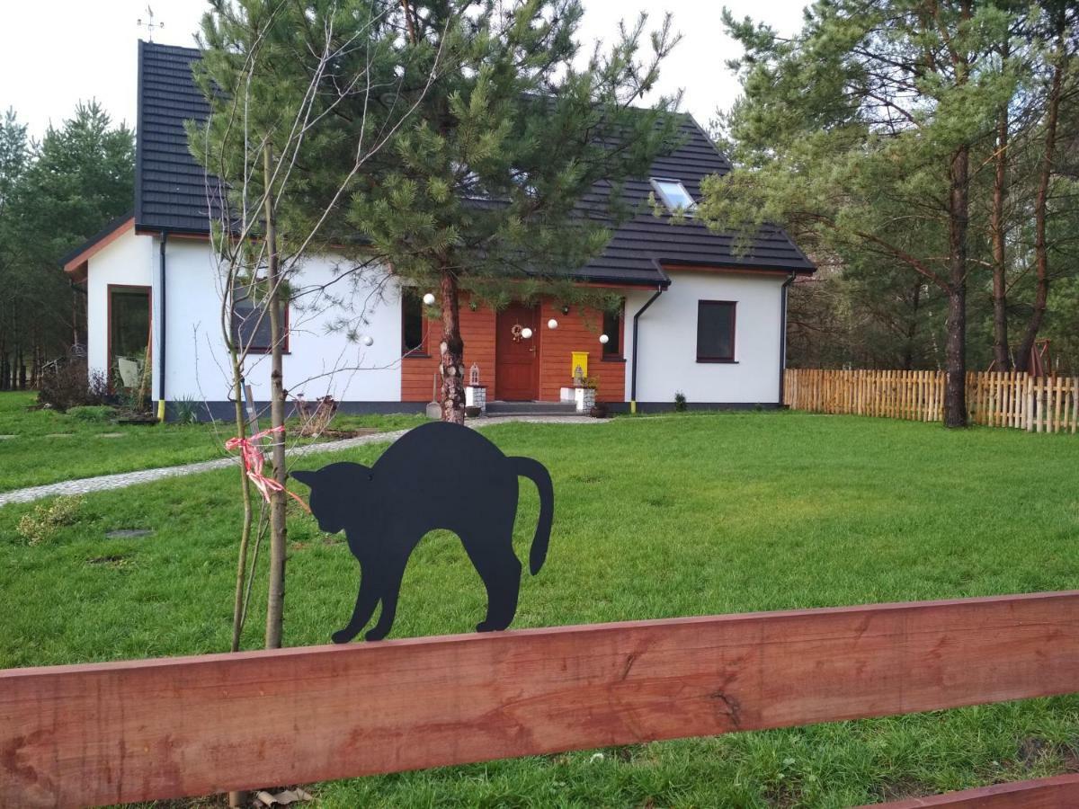 Koci Grzbiet Agroturystyka Dzierzazno Wielkie Exterior photo